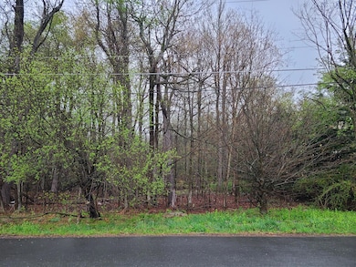 Lot B13