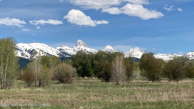 Teton View
