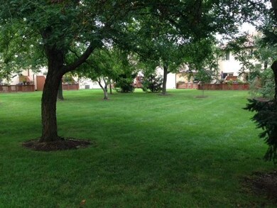 Open Green Space