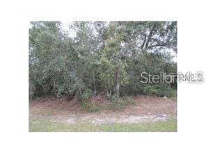 0 No Name Parcel 05163011380050 unit V4910400, de Leon Springs, FL 32130 - photo 2