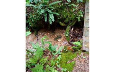 000 Big Creek Rd, Ellijay, GA 30540 - photo 4