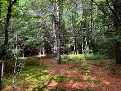 1.3 Farr Rd unit 3, Ohio, NY 13324 - photo 3