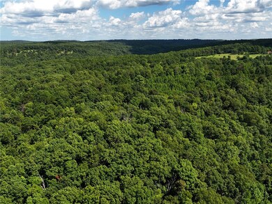 TBD 8872, Deer, AR 72628 - photo 5