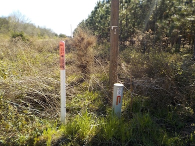 10 +-ac,Lot 1PL Cty Rd 140 Cty Rd 141, Headland, AL 36345 - photo 4