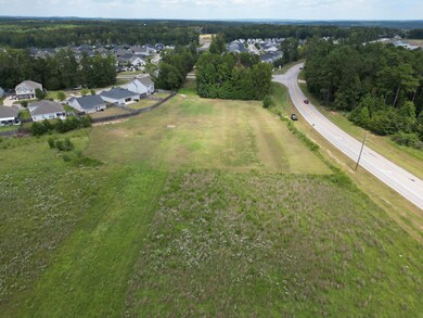 activity field