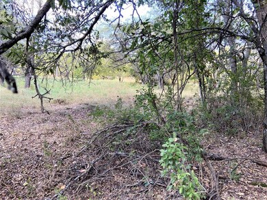 1617 Oak Springs Dr, Whitney, TX 76692 - photo 2