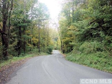 0 Oxbow Rd, Hillsdale, NY 12529 - photo 7