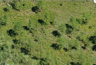 0 Dill Rd unit MFRO6234209, Orlando, FL 32820 - photo 3