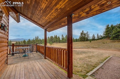 39858 Highway 24, Lake George, CO 80827 - photo 5