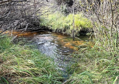 Grasshopper Creek on Western side of lot