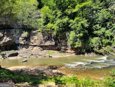 560 Neptune Cir, Ranger, GA 30734 - photo 6