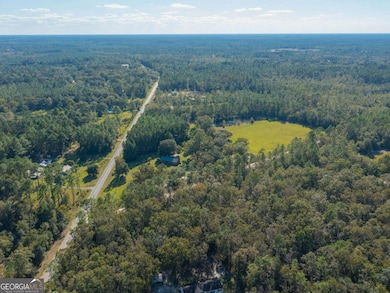 43 Dutch Rd, Hortense, GA 31543 - photo 3