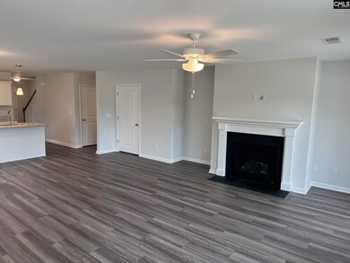 3020 Hallsdale Dr, Elgin, SC 29045 - photo 7