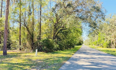 1188 W Pearson St, Hernando, FL 34442 - photo 5