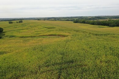 28664 E 110th St, Blythedale, MO 64426 - photo 7