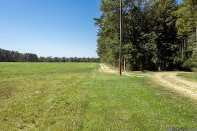 V5 Jim Price Rd, Clinton, LA 70722 - photo 4