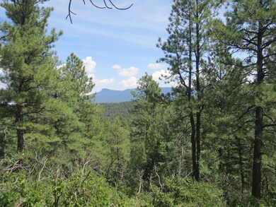 0 Gallinas Pkwy unit Parcel E5 18-1275, Trinidad, CO 81082 - photo 2