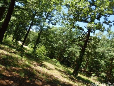 0 Cr 756, Jonesboro, AR 72401 - photo 6