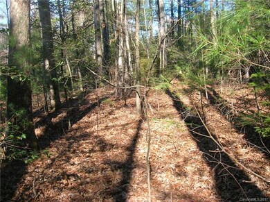 113 Atwood Dr unit 28, Hendersonville, NC 28792 - photo 7