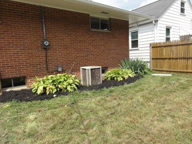 Backyard Nicely Landscaped