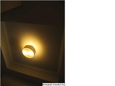 Decorative trayed ceiling in the foyer