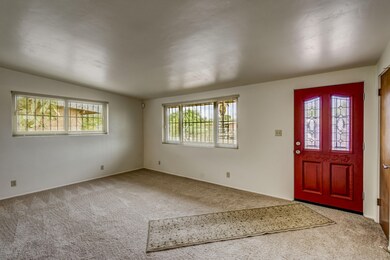 Front room - new carpet