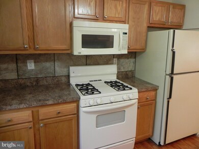 124 Page Ct, White Post, VA 22663 - photo 4