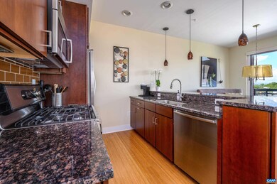 200 Garrett St unit 607, Charlottesville, VA 22902 - photo 6