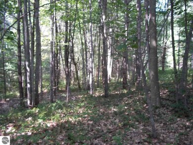 00 N Baldwin Resort Rd unit 1, East Tawas, MI 48730 - photo 3