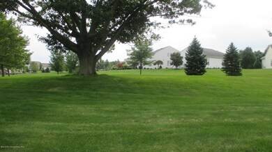 View of Rear Yard