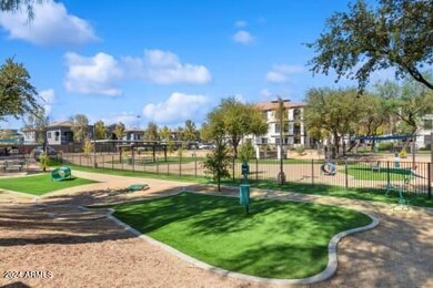 Dog Park