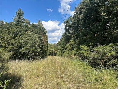 TR 1 Cr 219, Buffalo, TX 75831 - photo 5