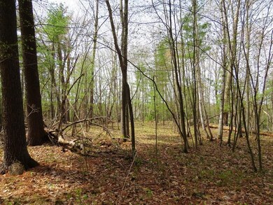 0 Old 35 unit 1518976, Siren, WI 54872 - photo 5