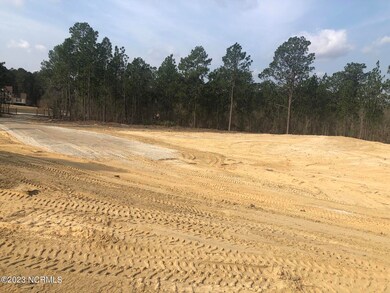 Ledbetter Land Pic 3