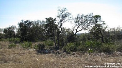 8710 Terra Mont Way, San Antonio, TX 78255 - photo 5