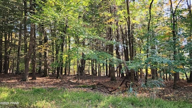 924-926 Hibernation Rd, Salem Township, PA 18436 - photo 4