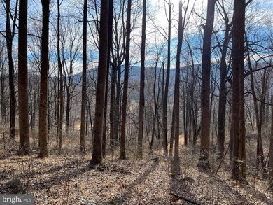0 Harris Hollow Rd unit VARP2000934, Washington, VA 22747 - photo 6