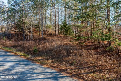 Lot 844 Landmark Dr, New Tazewell, TN 37825 - photo 6