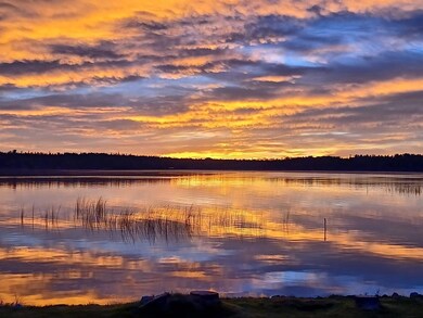 1859 S Fenlon St, Cedarville, MI 49719 - photo 5