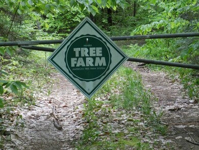 00 Governors Rd, Union, NH 03887 - photo 2