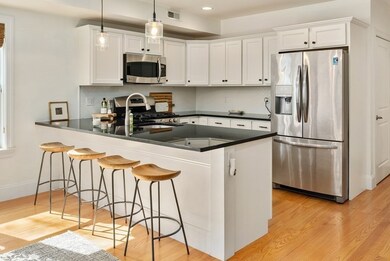 841 Lagrange St unit 2, West Roxbury, MA 02132 - photo 6