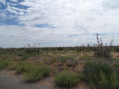 TBD Tbd - Sunland Estates Unit 8, Horizon City, TX 79928 - photo 3