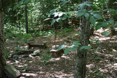 203 Minor Rd, Wilmington, VT 05363 - photo 2