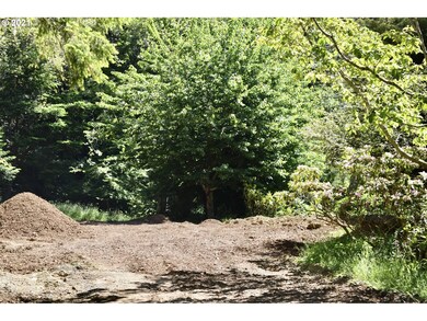 94324 Coldiron Hill Rd, Gold Beach, OR 97444 - photo 2
