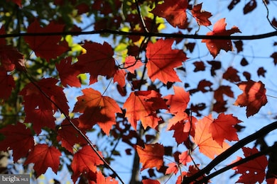 0 River View Place unit VAPA2005486, Shenandoah, VA 22849 - photo 4