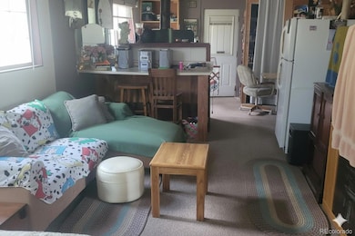 5162 S Road A, Evergreen, CO 80439 - photo 5