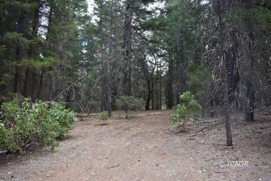 Trees/Flat Area