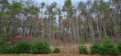 Lot 28 Summit Dr, Eldred, NY 12732 - photo 3