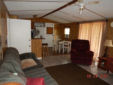 210 Main St, Steinhatchee, FL 32359 - photo 7