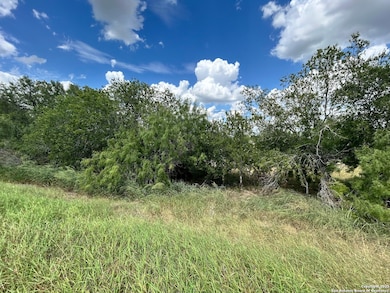 8774 N US Hwy 281, Leming, TX 78050 - photo 2
